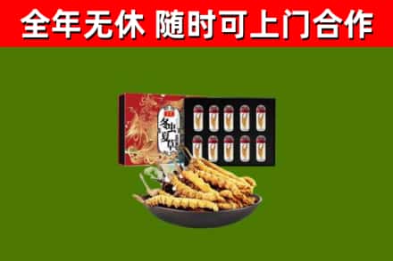 单市回收冬虫夏草价格