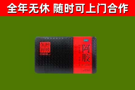 单市回收阿胶