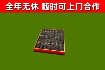 单市回收海参